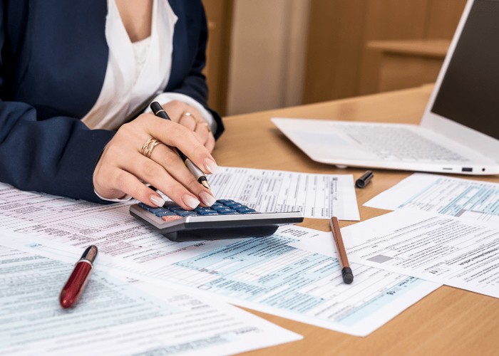 foreign owned LLC filling tax professional